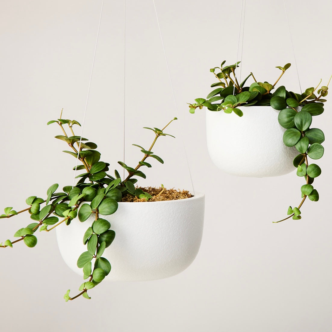 Glazed Hanging Planters