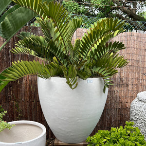 Giant Egg Planter - TERRAZZO