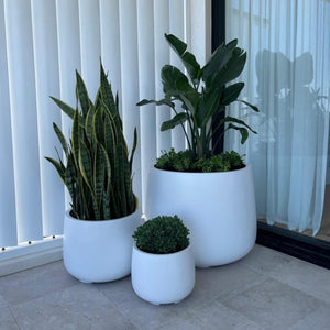 The Palm Beach Planter