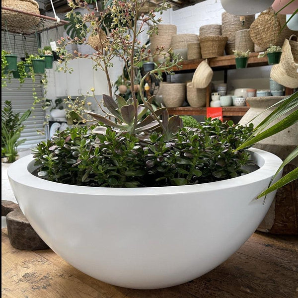 The Bungan Bowl planter - The Pot Warehouse